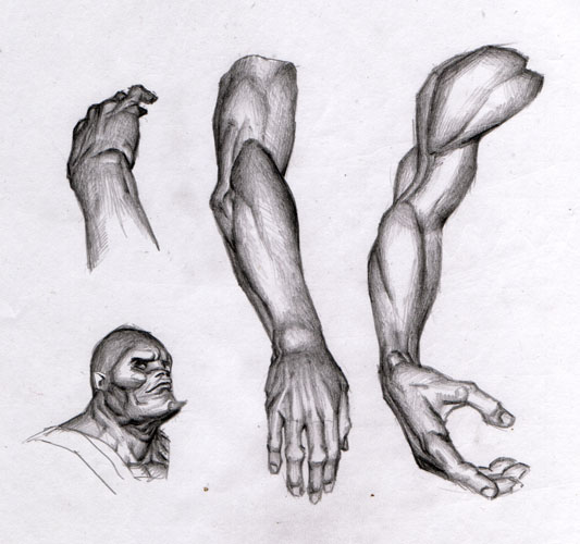 sketchbook032.jpg