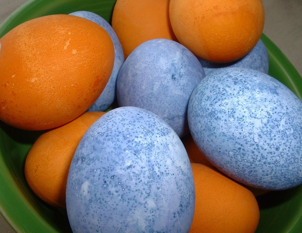 [eggdye+018.jpg]