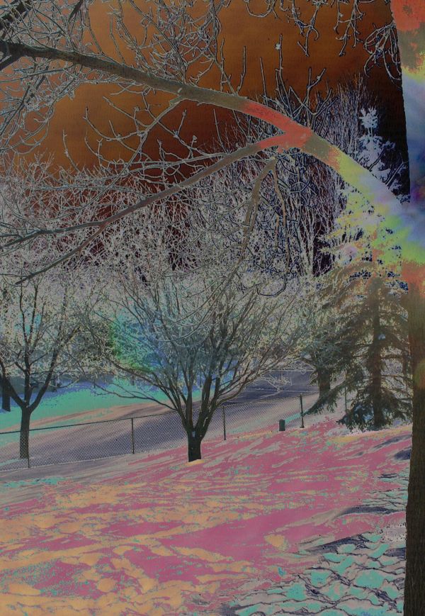 [Hoarfrostcolor1.jpg]