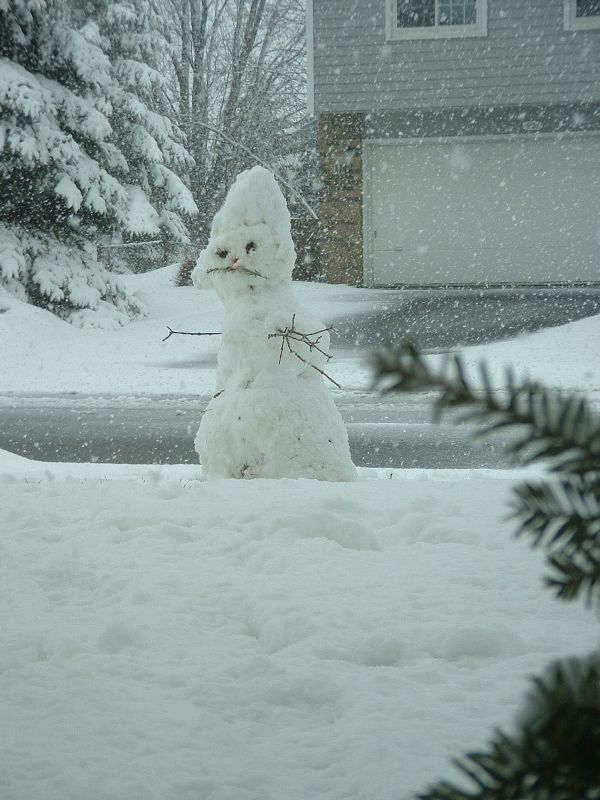 [snowman.jpg]