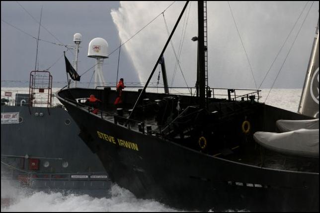 [SHIPTERROR.jpeg]
