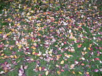 autunno
