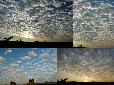  Prevoir le temps a partir des nuages et des contrails - Page 2 Altocumulus+Mulhouse+30+septembre