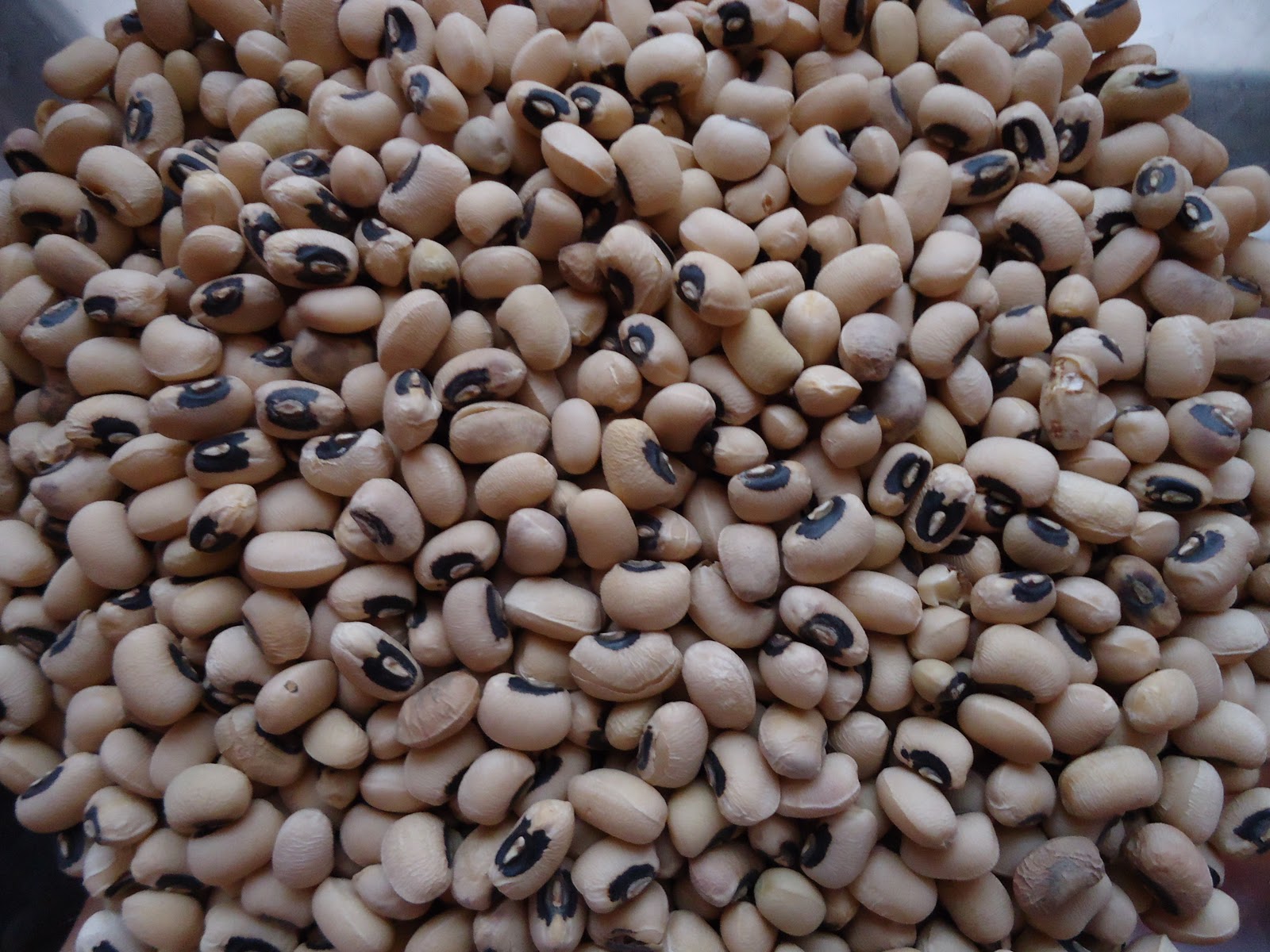 Get Skinny, Go Vegan.: Vegan Black Eyed Peas infused with Cilantro from "The Indian Slow Cooker"