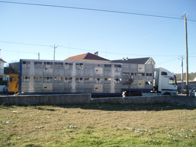 [P1010262.JPG]