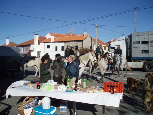 [P1010264.JPG]