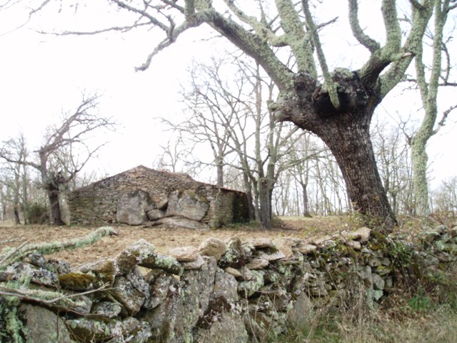 [P1010111.JPG]