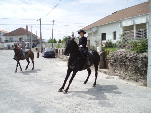 [P1010227.JPG]