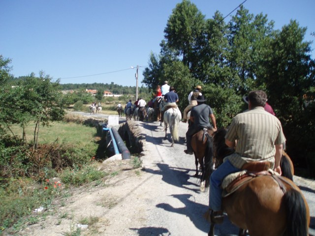 [P1010259.JPG]