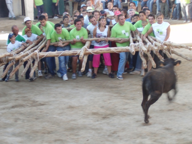 [P1010329.JPG]