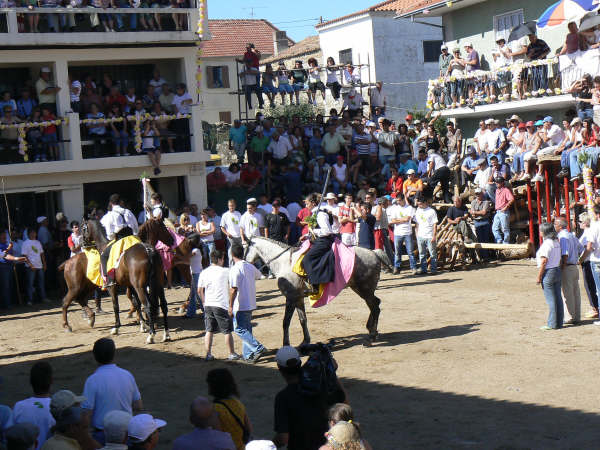 [P1060480.JPG]