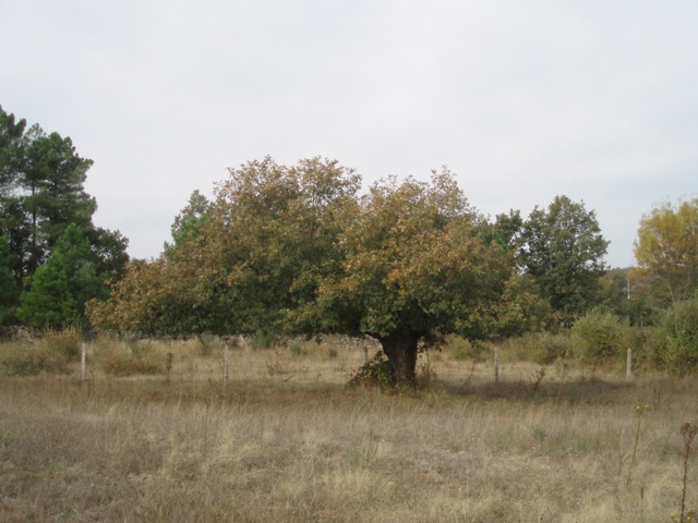 [P1010078.JPG]