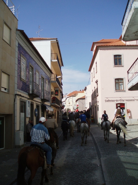 [P1010035.JPG]