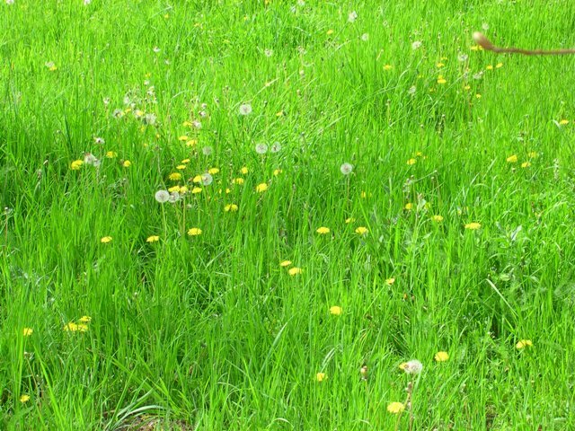 [DSCN1740.JPG]