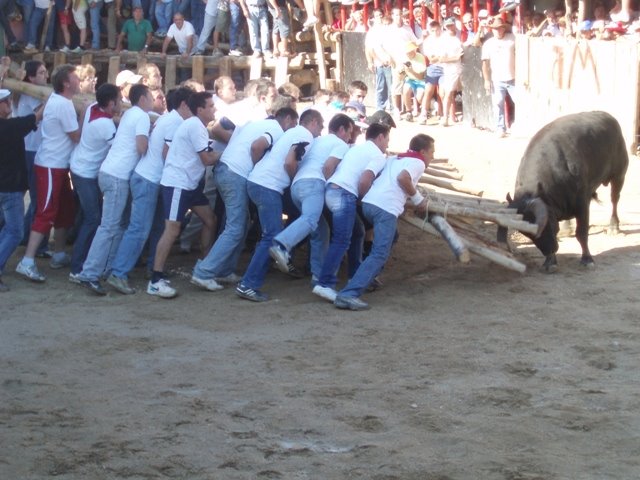 [P2240072.JPG]