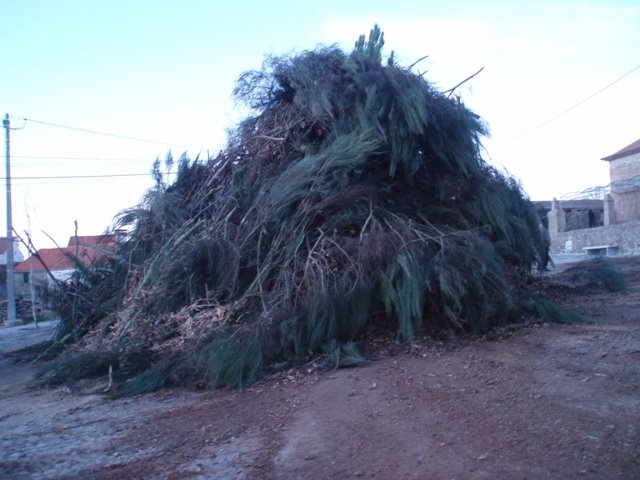 [P6280299.JPG]