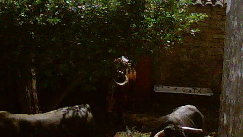 [DSC00076.JPG]