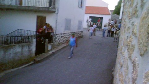 [DSC00096.JPG]