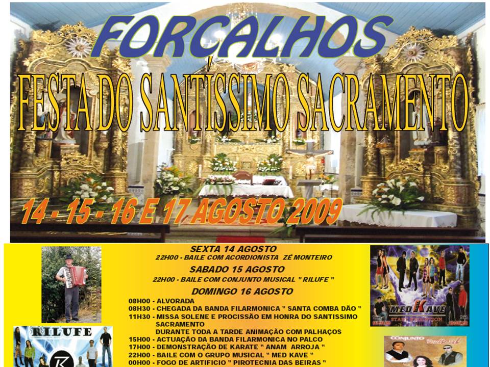 [festaforcalhos12.jpg]