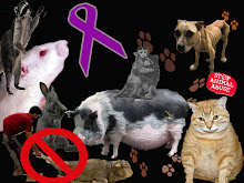 Animal Cruelty