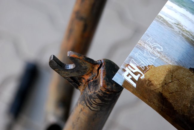 [d80a_112408_107.JPG]