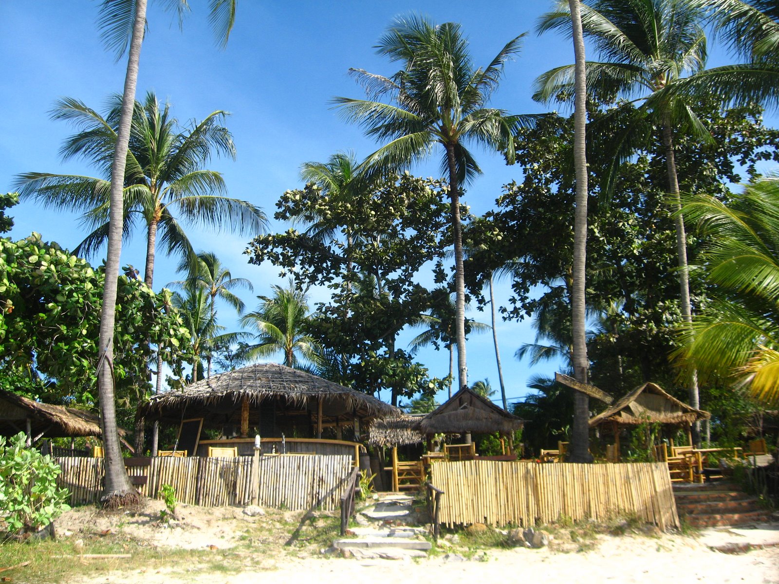 [IMG_2542.JPG]