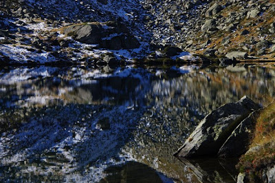 © Cris 2008