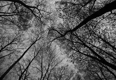 © Jose 2008