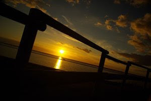 Camargue © Jose 2008