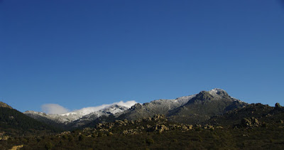© Cris 2010