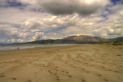 © Cris 2010