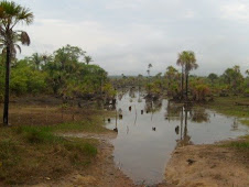 Cerrado do Piaui