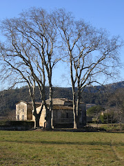 Platanes Tornac