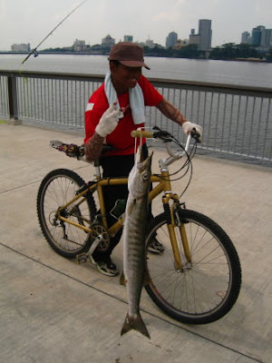 Black Panther Caught a Barracuda At Woodland Jetty Fishing Hotspots was created to share with those who are interested in fishing on tips and type of fishes caught around Woodland Jetty Fishing Hotspots.