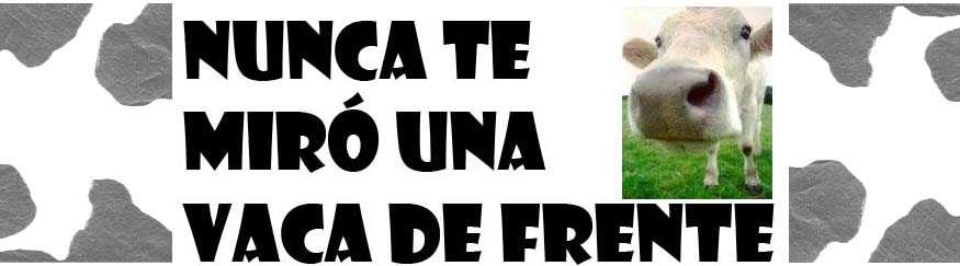 Nunca te miró una vaca de frente