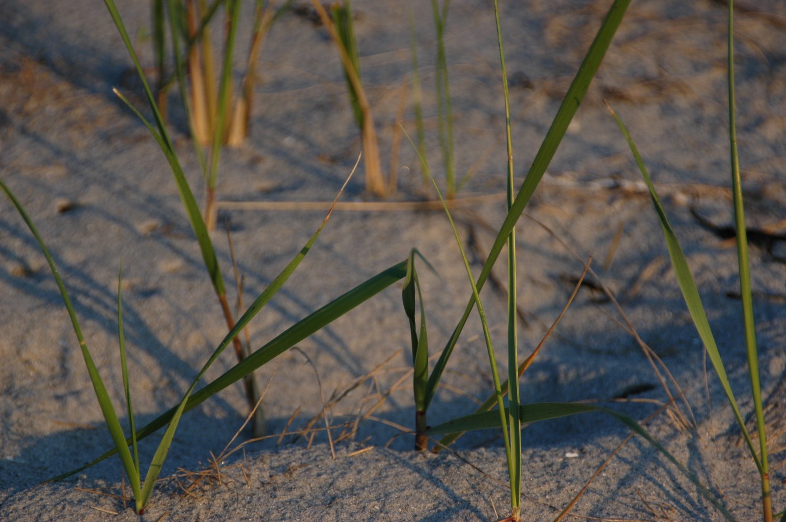 [DSC_5716.JPG]