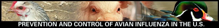 Prevention and Control of Avian Influenza in the U.S.