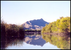 View of  Turtleback Mountain