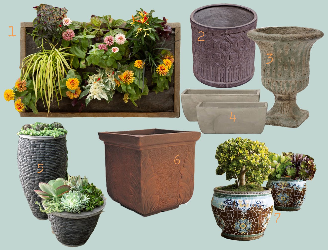 flores del sol choosing a garden planter