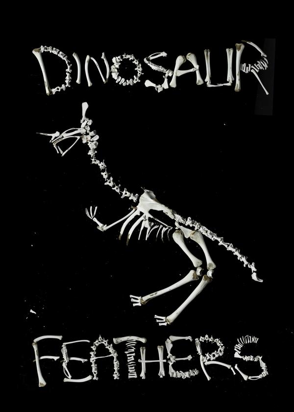 [DinoF]