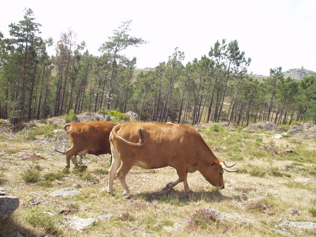 [P1010095.JPG]