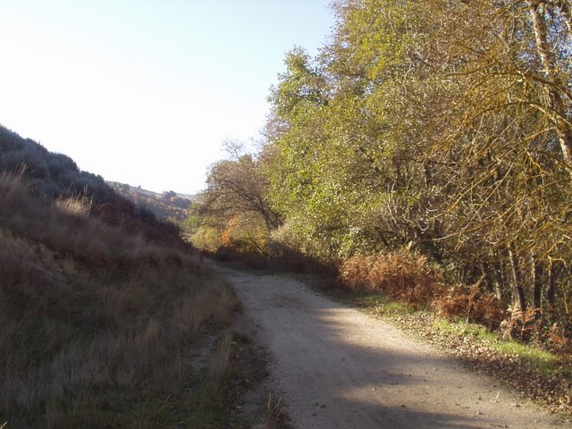 [P1010006.JPG]