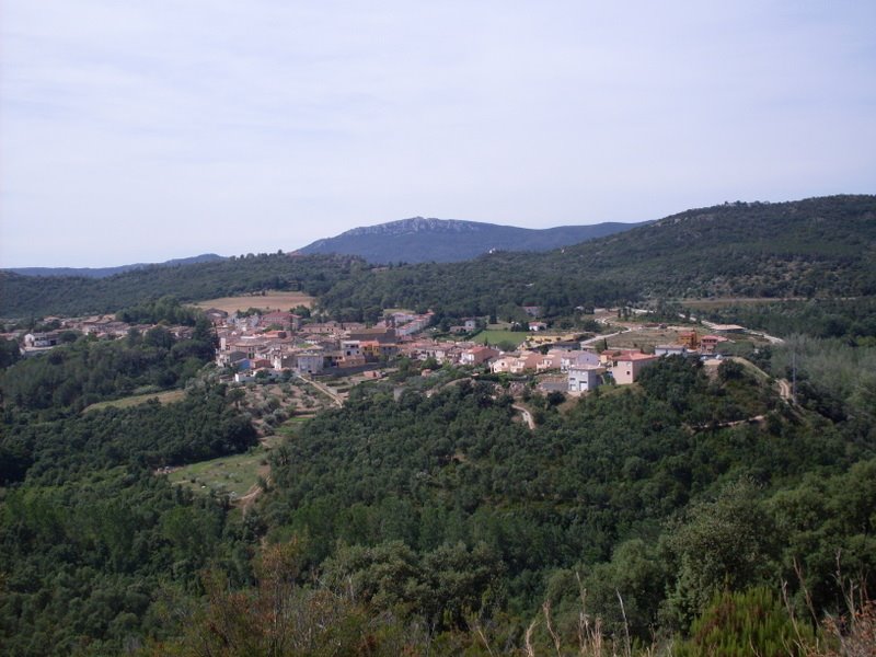 [SDC10316.JPG]