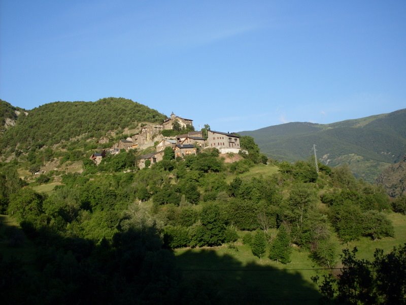 [SDC10608.JPG]