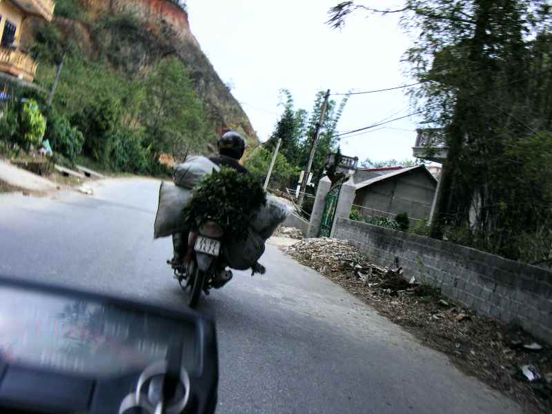 Vietnam20101087.JPG