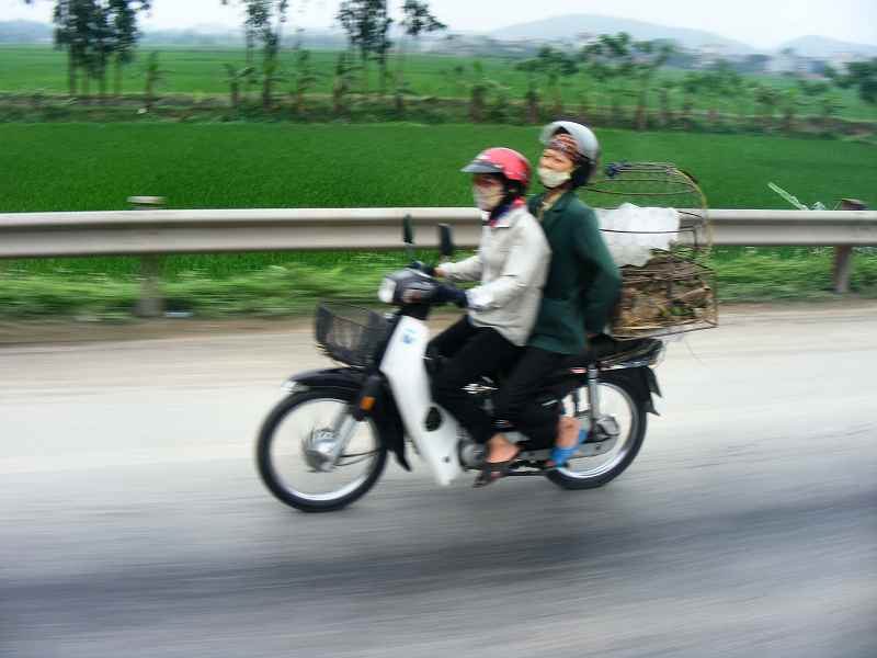 Vietnam20100241.JPG