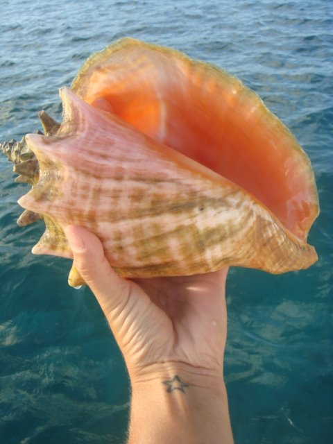 [DSC06321.JPG]