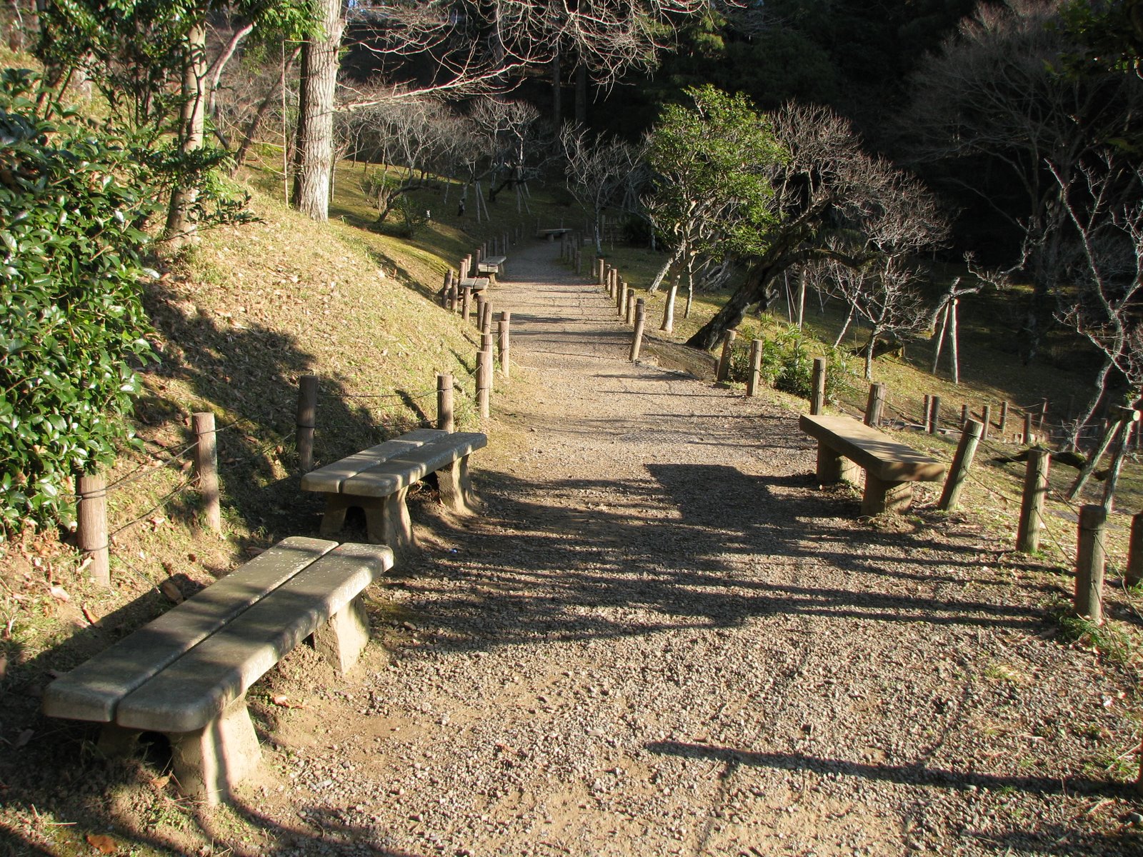[IMG_4262.JPG]