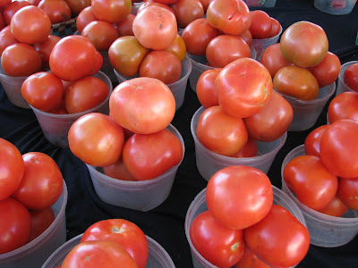 fresh florida tomatoes
