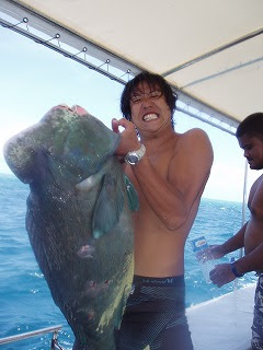 bumphead parrotfish